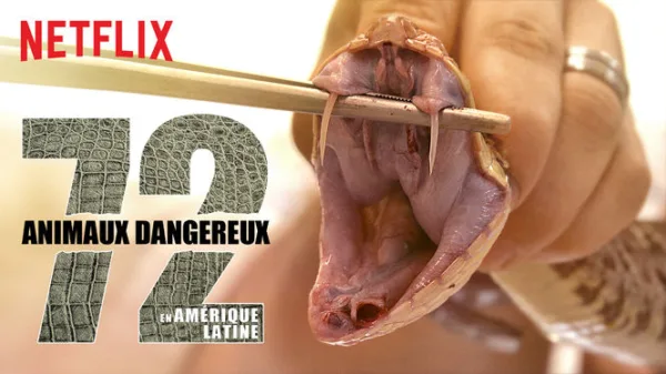 72 animaux dangereux en Amérique latine