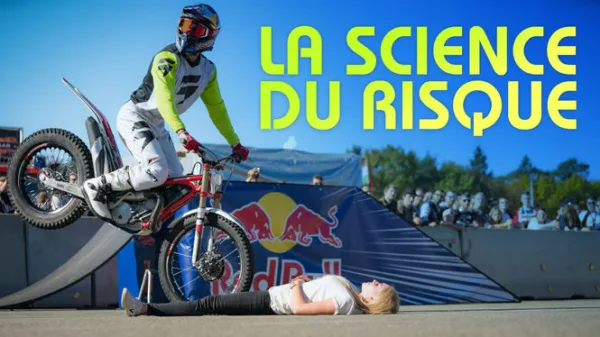 La science du risque