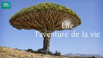 Life, l'aventure de la vie