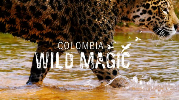 Colombia: Wild Magic