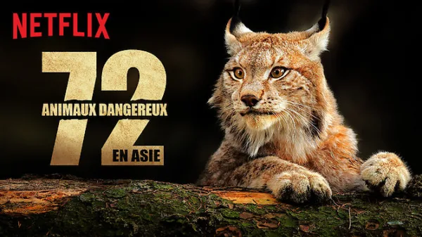 72 animaux dangereux en Asie