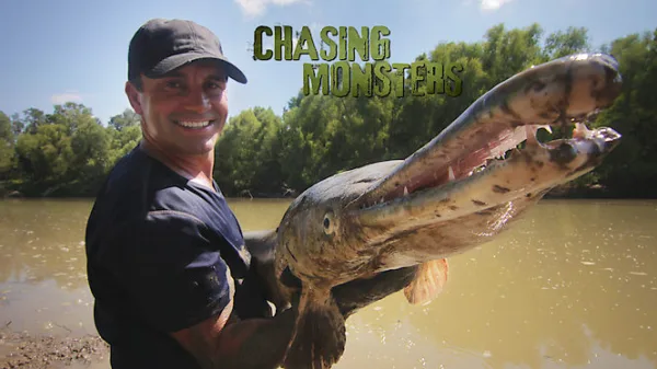 Chasing Monsters