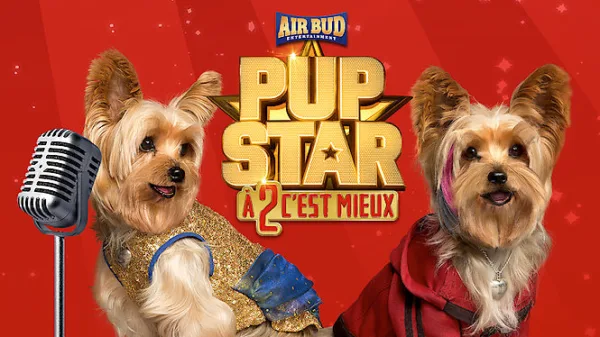 Pup Star : À 2 c’est mieux