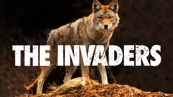 The Invaders