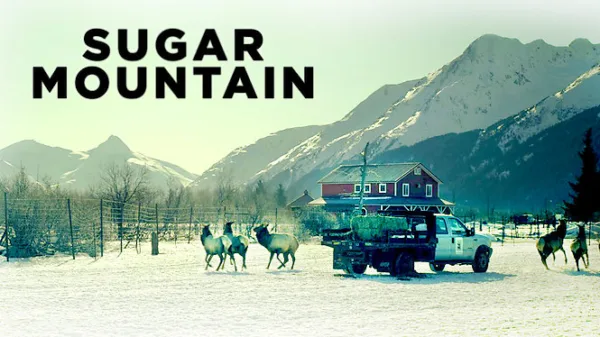Sugar Mountain