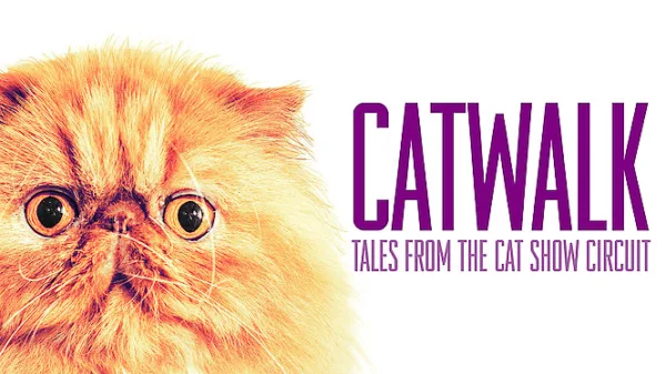 Catwalk: Tales from the Cat Show Circuit