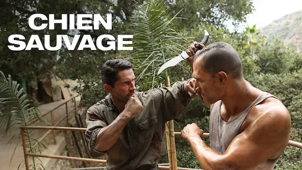 Chien Sauvage