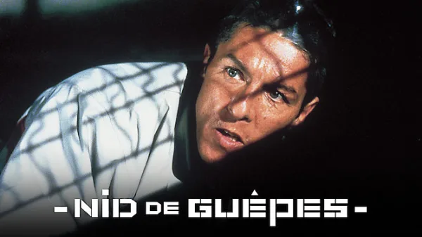 Nid de guêpes