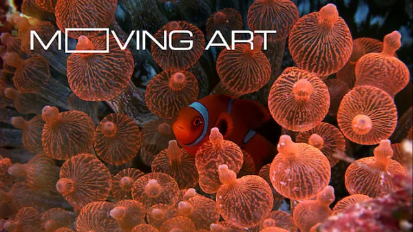 Moving Art