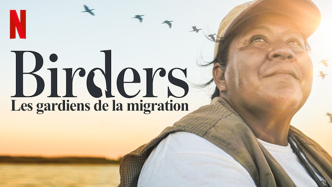 Birders : Les gardiens de la migration