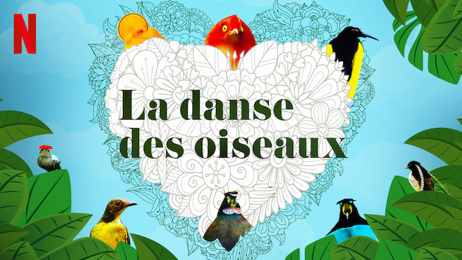 La danse des oiseaux