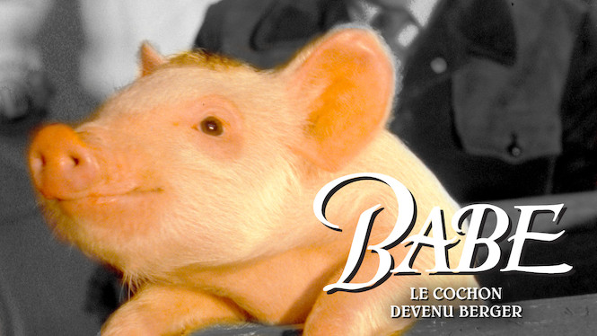 Babe, le cochon devenu berger
