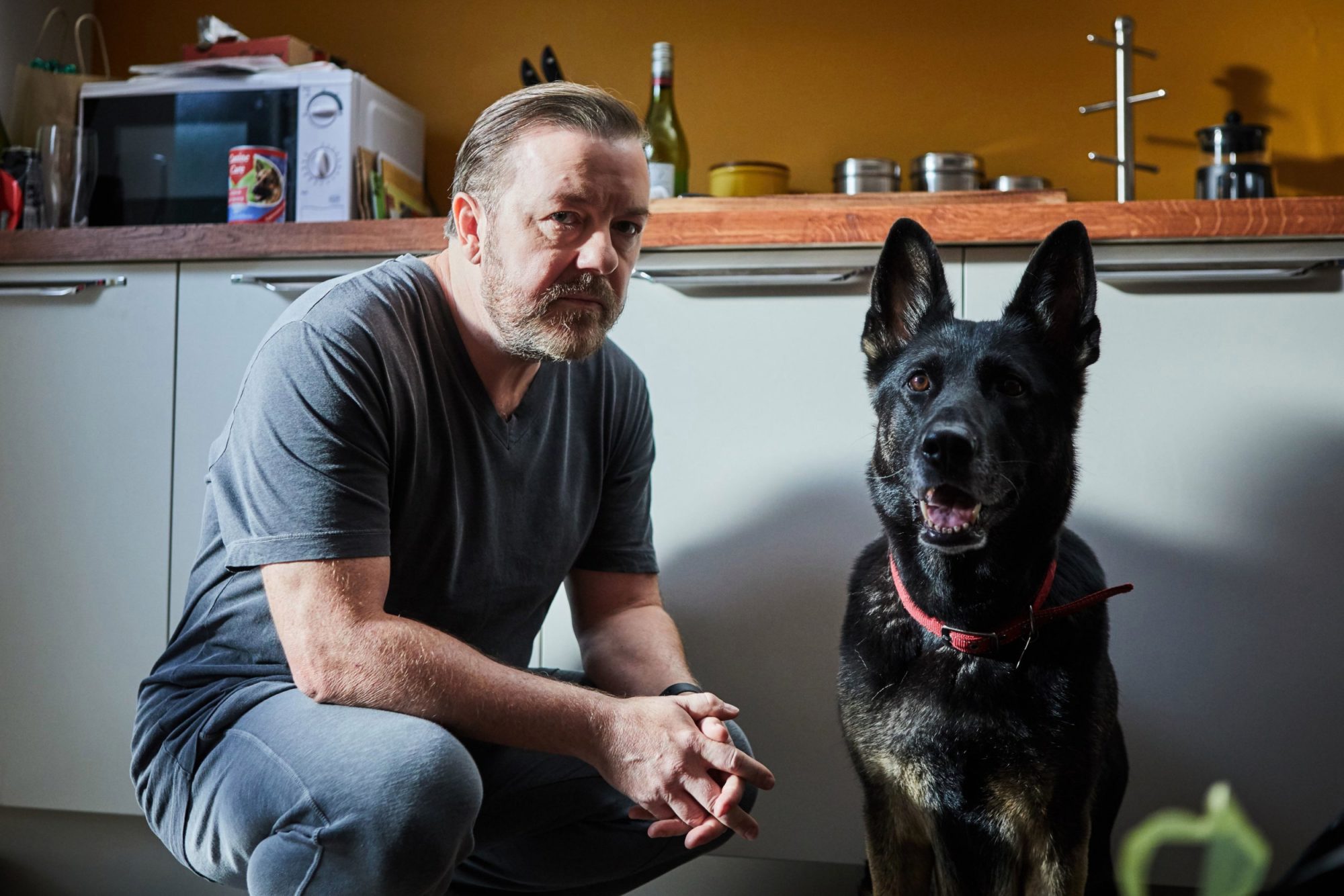 after life season 2 netflix - After Life, Love 101, Tyler Rake, etc : ils débarquent cette semaine sur Netflix