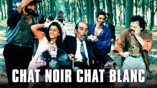 Chat noir, chat blanc