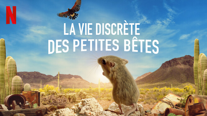 La vie discrète des petites bêtes