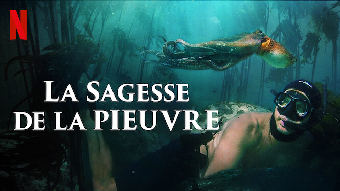 La Sagesse de la pieuvre