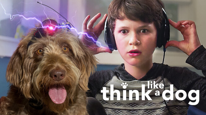 Think Like a Dog