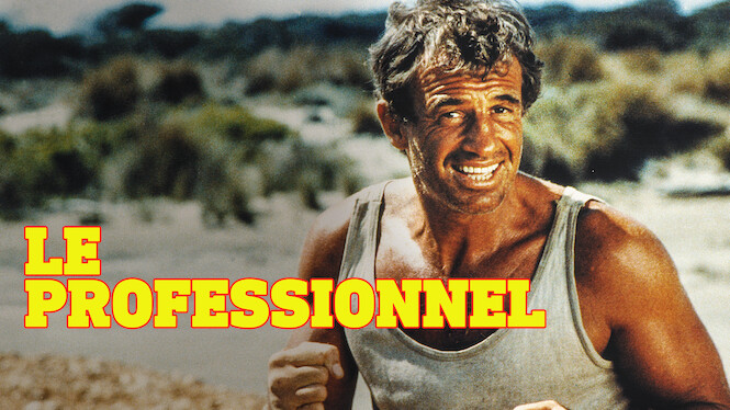 Le Professionnel