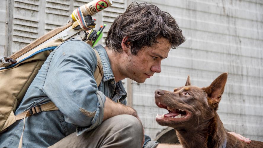 love and monsters - Love and monsters : que pensent les internautes de cette comédie post-apo portée par Dylan O'Brien ? (Avis)