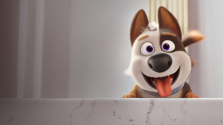 Pauvre toutou ! : un chien de luxe perdu dans la ville (en ce moment sur Netflix)