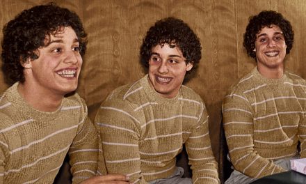 Three identical strangers : que pensent les internautes de ce documentaire au récit invraisemblable ? (avis)