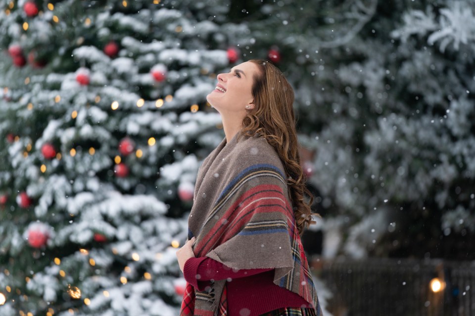 un chateau pour noel netflix - En novembre, faites le plein de comédies romantiques de Noël sur Netflix (Sorties 2021)