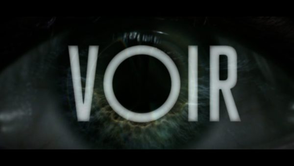 voir netflix fincher 600x338 - MANK