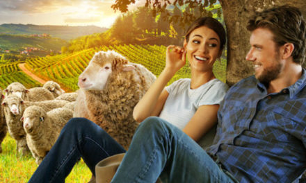 Un accord parfait : une comédie romantique portée par Victoria Justice et Adam Demos (Sex/Life) à découvrir dès à présent sur Netflix