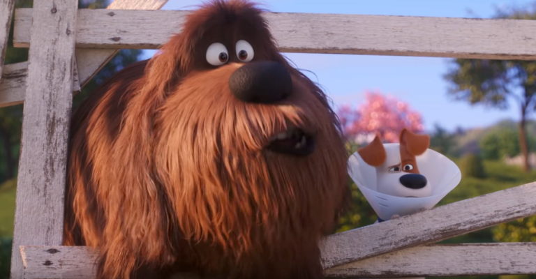 Comme des bêtes 2 : le film d’animation arrive en août sur Netflix