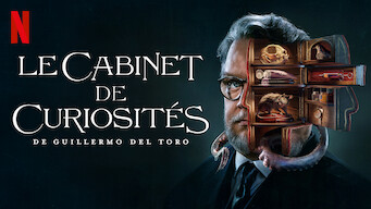Le cabinet de curiosités