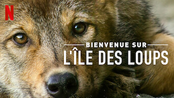 Bienvenue sur l'île des loups