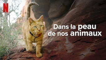 Dans la peau de nos animaux