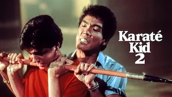 Karaté Kid 2