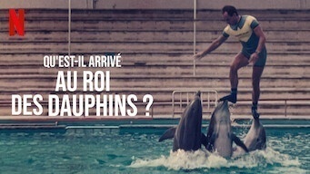 Qu'est-il arrivé au roi des dauphins ?