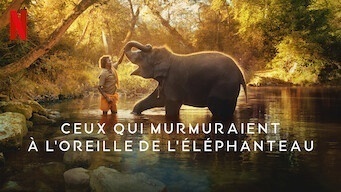 Ceux qui murmuraient à l'oreille de l'éléphanteau