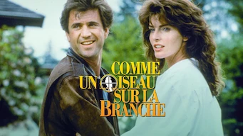 Comme un oiseau sur la branche