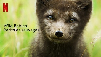 Wild Babies : Petits et sauvages