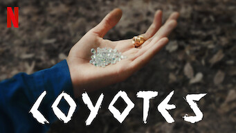 Coyotes