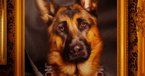 gunther le chien qui valait des millions netflix 600x316 - Gunther : le chien qui valait des millions