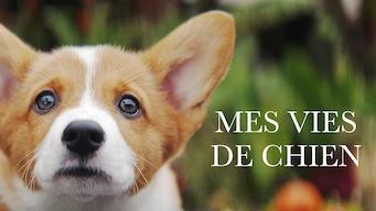 Mes vies de chien