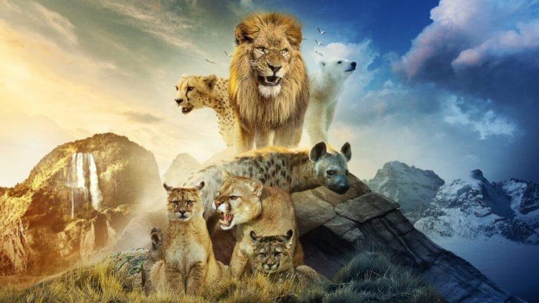 Prédateurs : Tom Hardy nous raconte le règne animal dans un documentaire aussi cruel que saisissant sur Netflix (+ Avis)