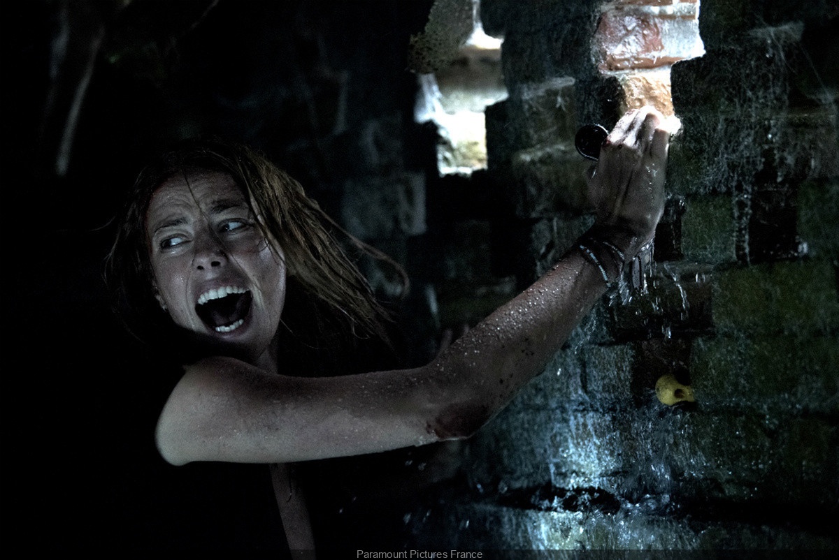 crawl netflix - Crawl : le film d'Alexandre Aja (La coline a des yeux) entre au catalogue de Netflix ce week-end