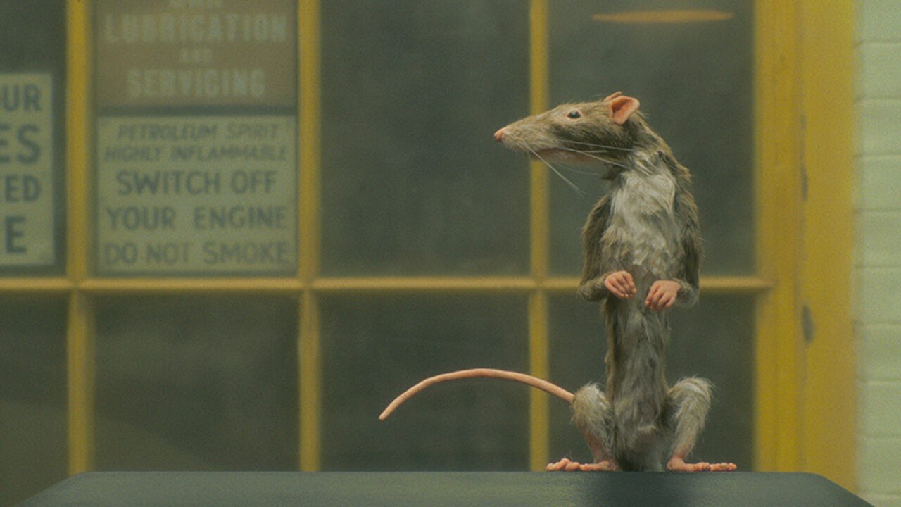 the ratcatcher netflix short wes anderson 1280x720 1 - Henry Sugar, Le Cygne, Venin, etc. : quelles sont les oeuvres de Roald Dahl que Netflix va prochainement adapter ?