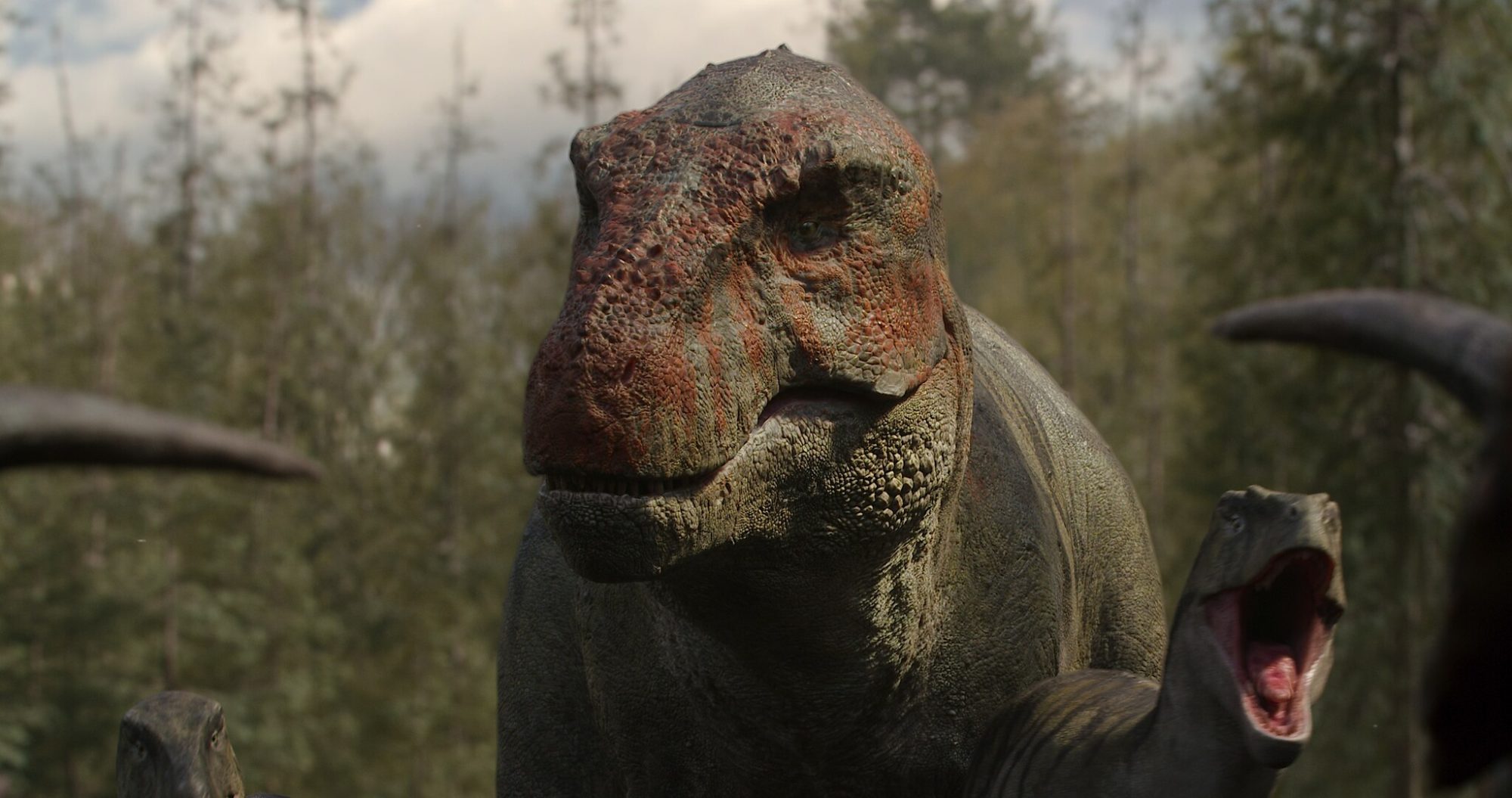 la vie sur notre planete netlfix - La vie sur notre planète (Avis) : incroyable, grandiose, les abonnés n'en reviennent pas de ce documentaire Netflix produit par Spielberg