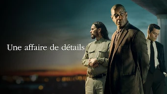Une affaire de détail