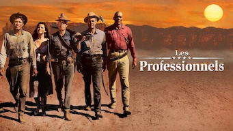 Les professionnels