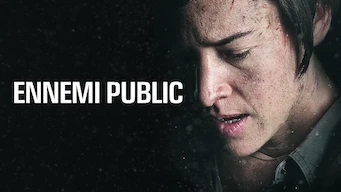 Ennemi Public - Série (2 saisons)