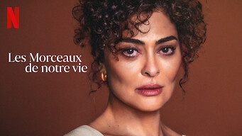 Les morceaux de notre vie - Série (Saison 1)