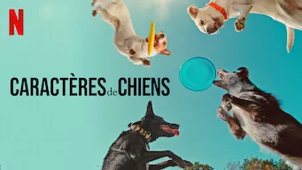 Caractères de chien - Documentaire