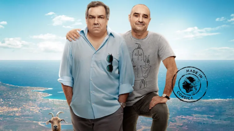Permis de construire : le film est-il disponible sur Netflix ?
